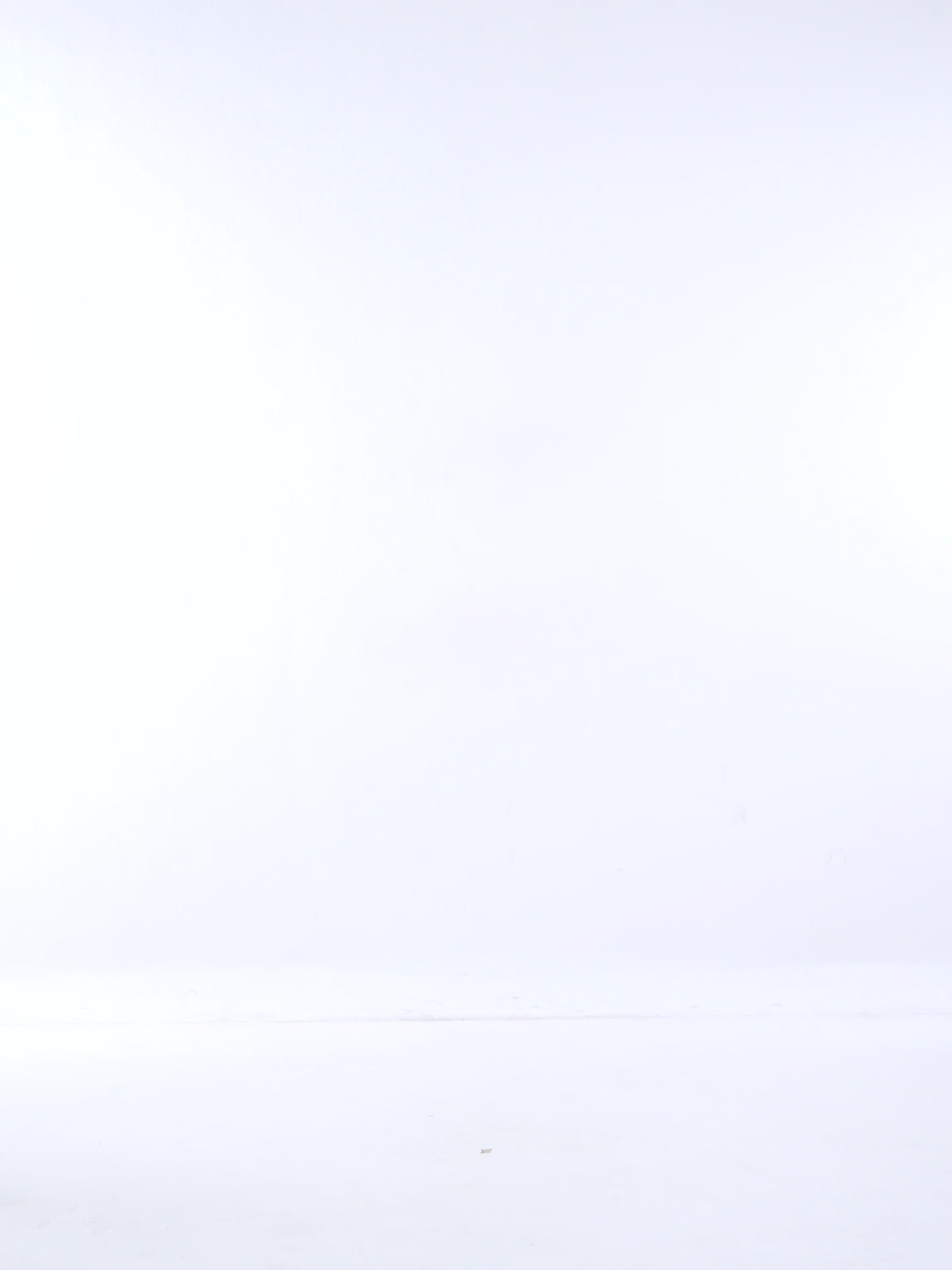 Fama Midi Dress in White - video view