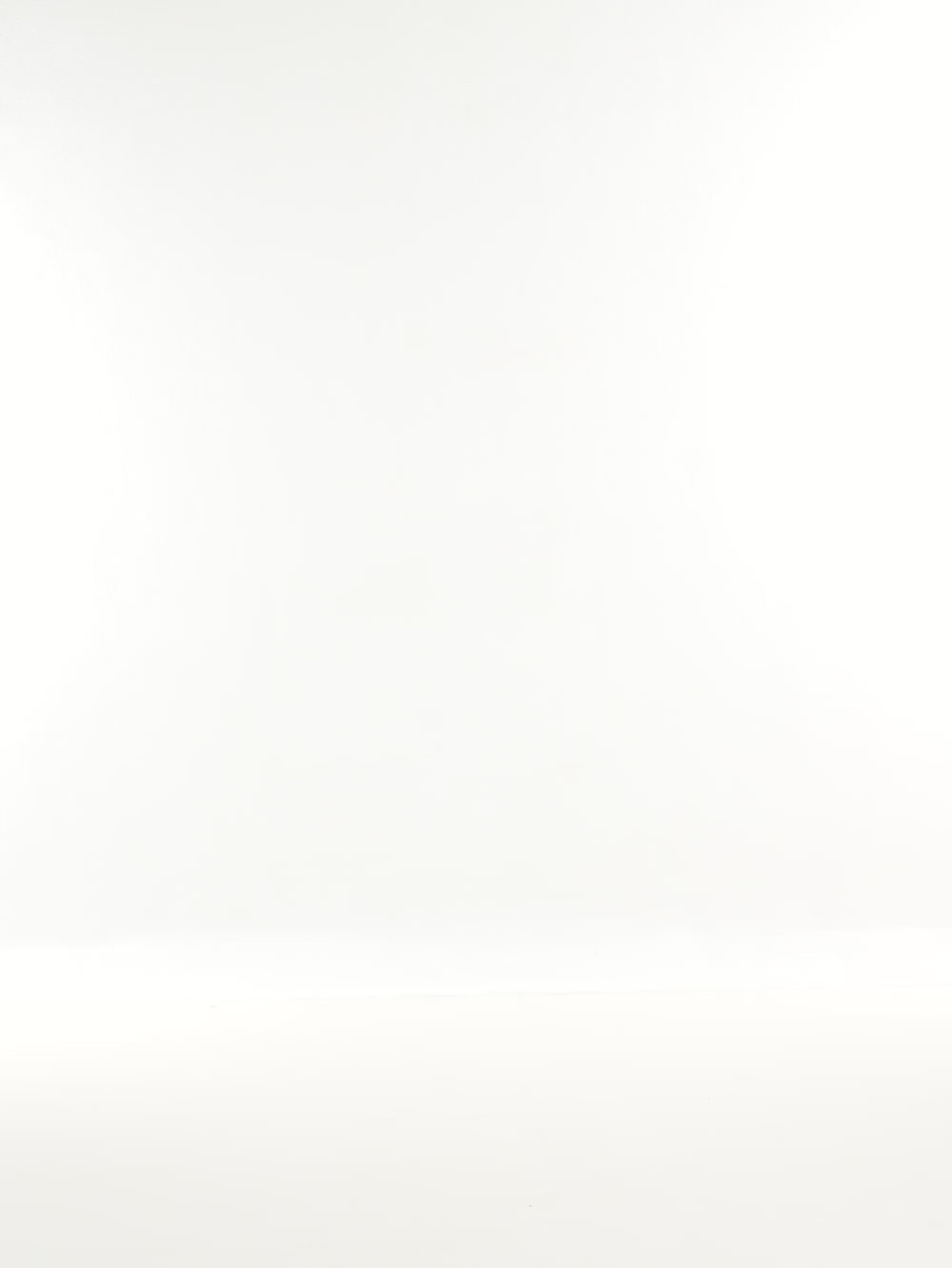 Sheer bomber jacket in natural - video view
