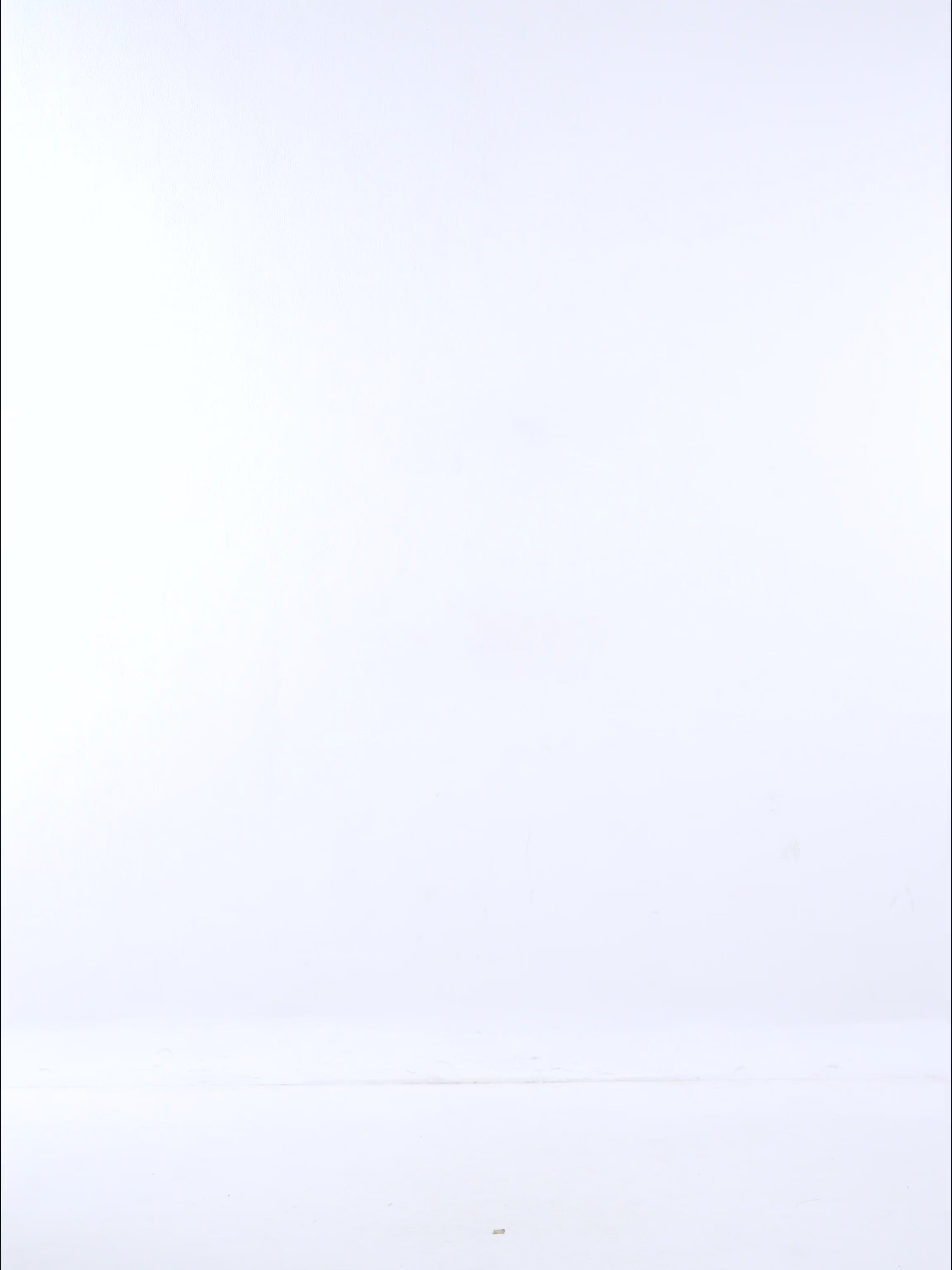 Fama crop t-shirt in grey wash - video view
