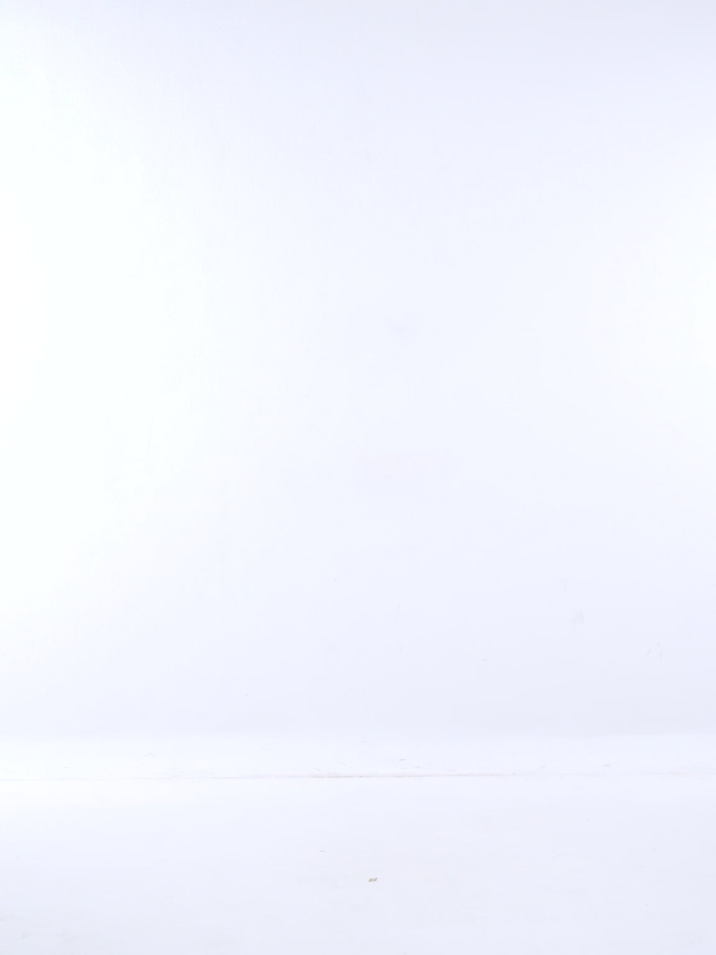 Fama crop t-shirt in black - video view